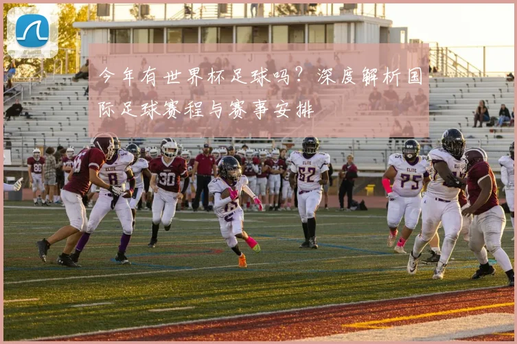 今年有世界杯足球吗?深度解析国际足球赛程与赛事安排