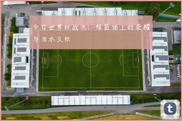 今日世界杯战况:绿茵场上的荣耀与泪水交织