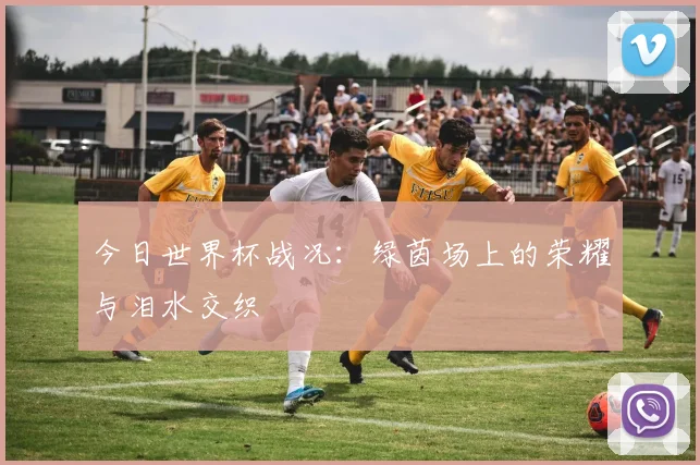 今日世界杯战况:绿茵场上的荣耀与泪水交织