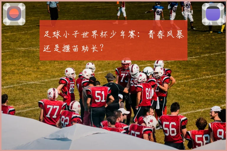 足球小子世界杯少年赛：青春风暴还是揠苗助长？