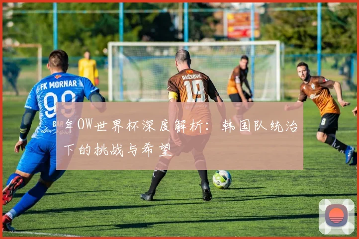 年OW世界杯深度解析：韩国队统治下的挑战与希望